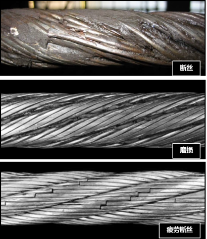 蘑菇视频着色版下载