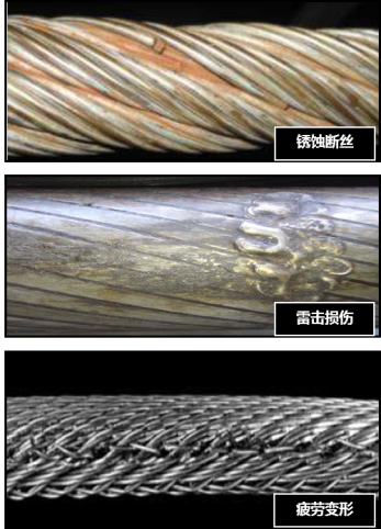 蘑菇视频着色版下载